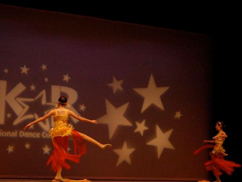 Houston, TX - 4/24/2009 - Awards