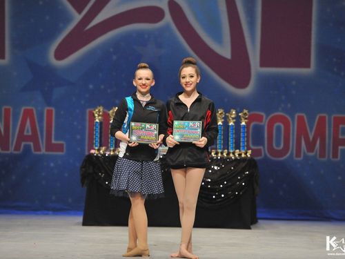 Detroit, MI - 1/30/2015 - Awards