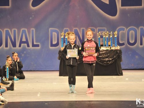 Chicago, IL - 2/27/2015 - Awards