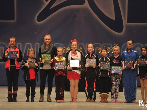 Chicago, IL - 2/27/2015 - Awards