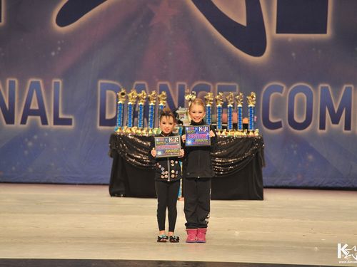 Chicago, IL - 2/27/2015 - Awards