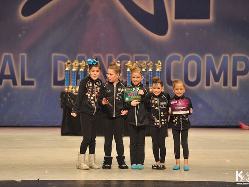 Chicago, IL - 2/27/2015 - Awards