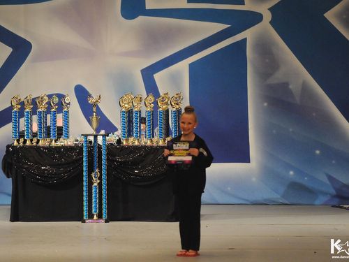Houston, TX - 4/10/2015 - Awards