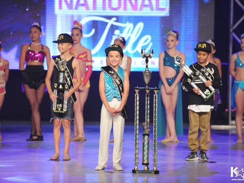LAS VEGAS, NV - PURPLE - TITLE - 7/7/2015 - Awards