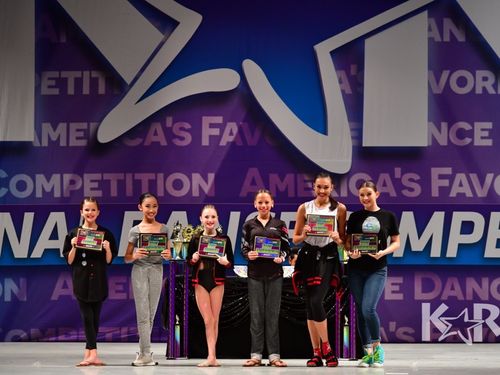 Redondo Beach, CA - 11/9/2018 - Awards