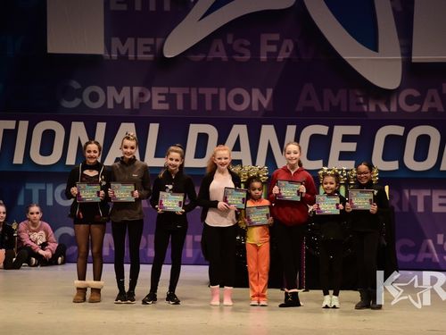 Chicago, IL  - 2/22/2019 - Awards