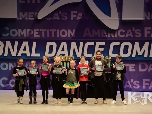 Chicago, IL  - 2/22/2019 - Awards