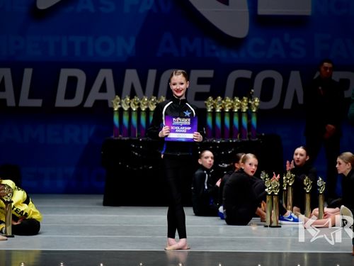 Lansing, MI - 4/25/2019 - Awards