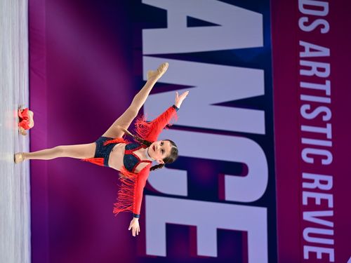 Redondo Beach, CA - 1/31/2025 - Awards